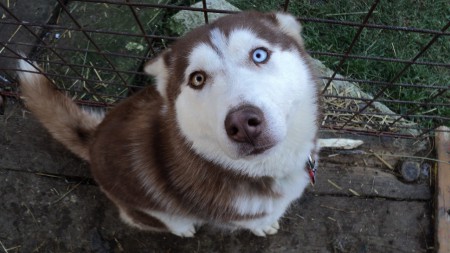 Rouzuška-29.11.2013 